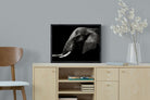 Pixalot ® Ancient Giant