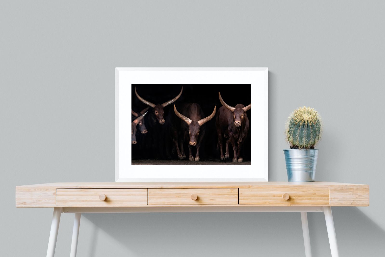 Pixalot Ankole-Watusi Herd