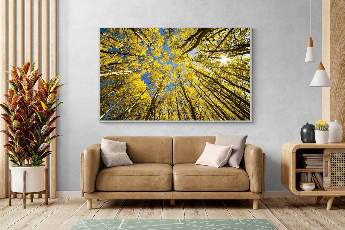 Pixalot ® Aspen Grove Sunburst
