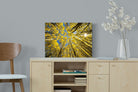 Pixalot ® Aspen Grove Sunburst