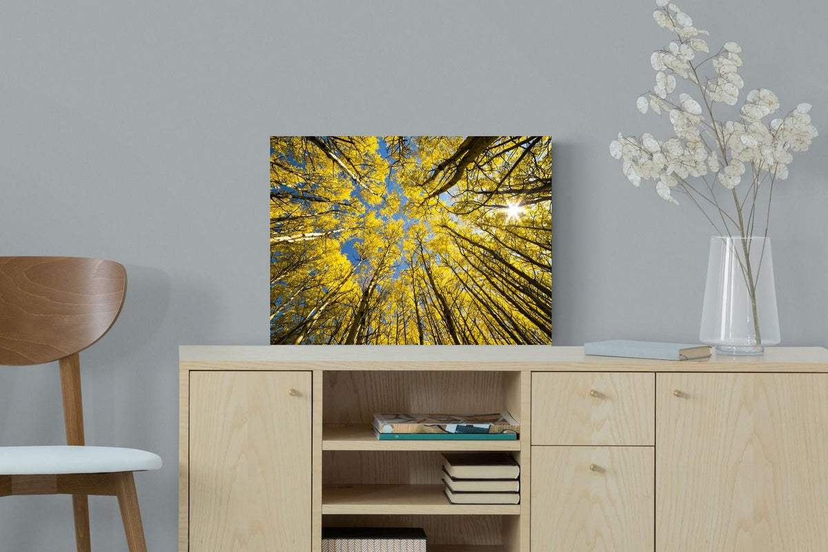 Pixalot ® Aspen Grove Sunburst