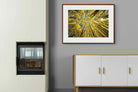 Pixalot ® Aspen Grove Sunburst