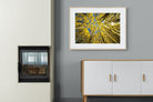 Pixalot ® Aspen Grove Sunburst