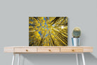 Pixalot ® Aspen Grove Sunburst