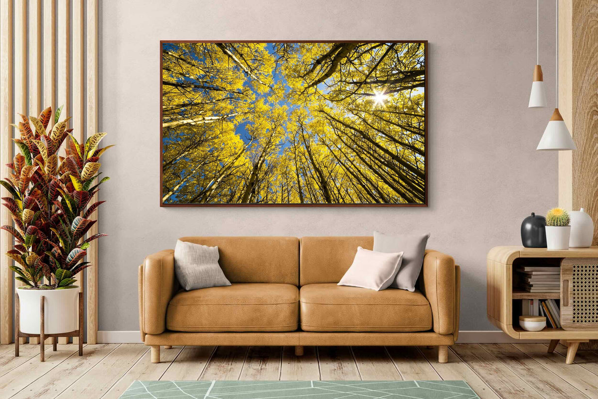 Pixalot ® Aspen Grove Sunburst