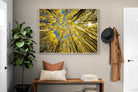 Pixalot ® Aspen Grove Sunburst
