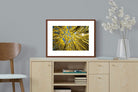 Pixalot ® Aspen Grove Sunburst