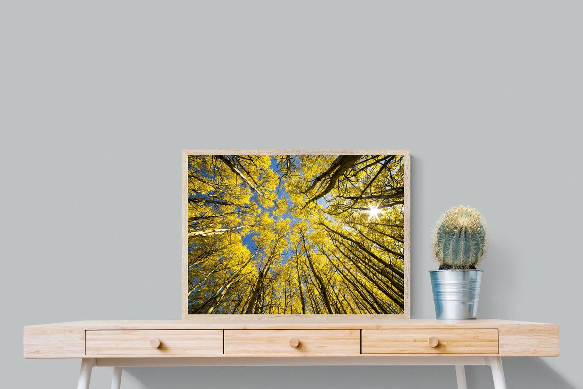 Pixalot ® Aspen Grove Sunburst