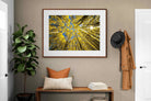 Pixalot ® Aspen Grove Sunburst