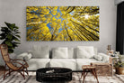 Pixalot ® Aspen Grove Sunburst