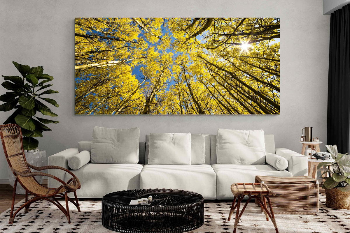 Pixalot ® Aspen Grove Sunburst