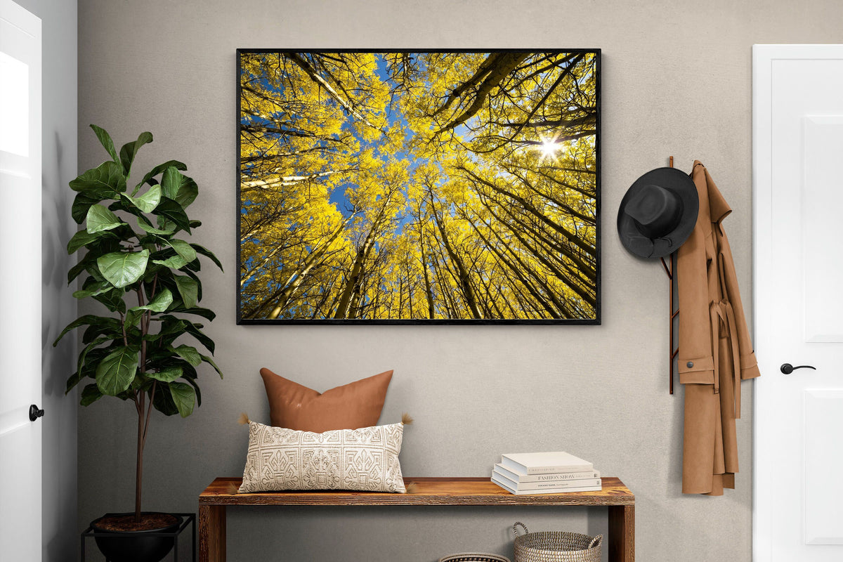 Pixalot ® Aspen Grove Sunburst