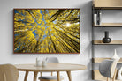 Pixalot ® Aspen Grove Sunburst
