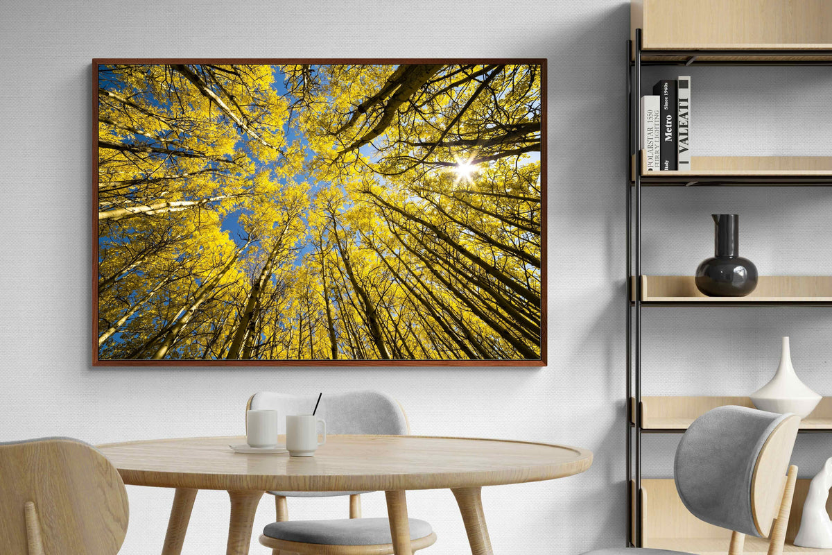 Pixalot ® Aspen Grove Sunburst