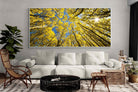 Pixalot ® Aspen Grove Sunburst