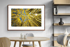 Pixalot ® Aspen Grove Sunburst