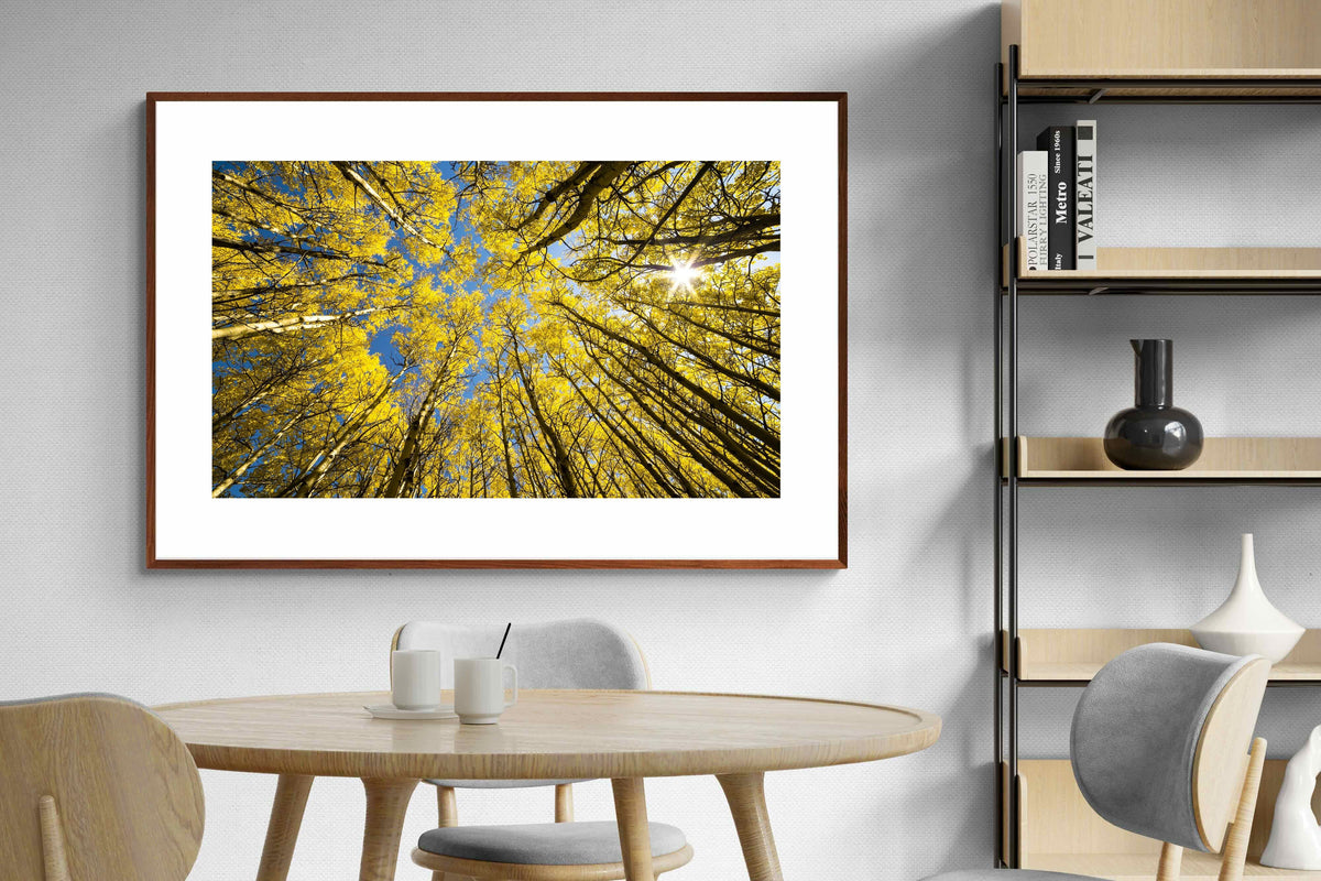 Pixalot ® Aspen Grove Sunburst