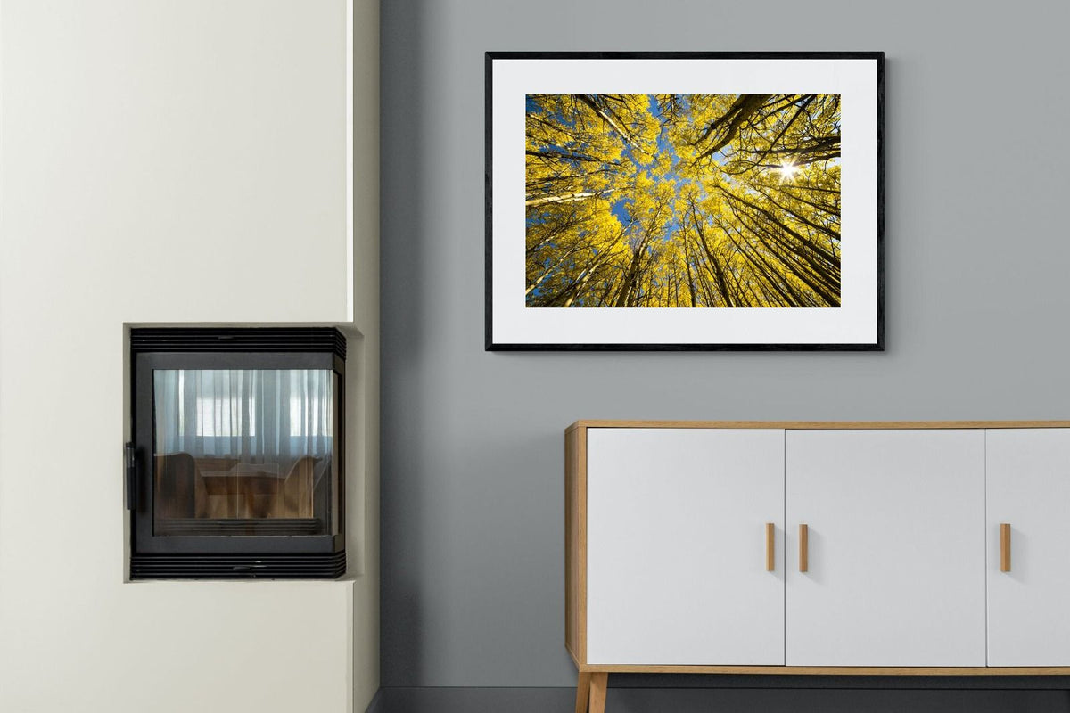 Pixalot ® Aspen Grove Sunburst