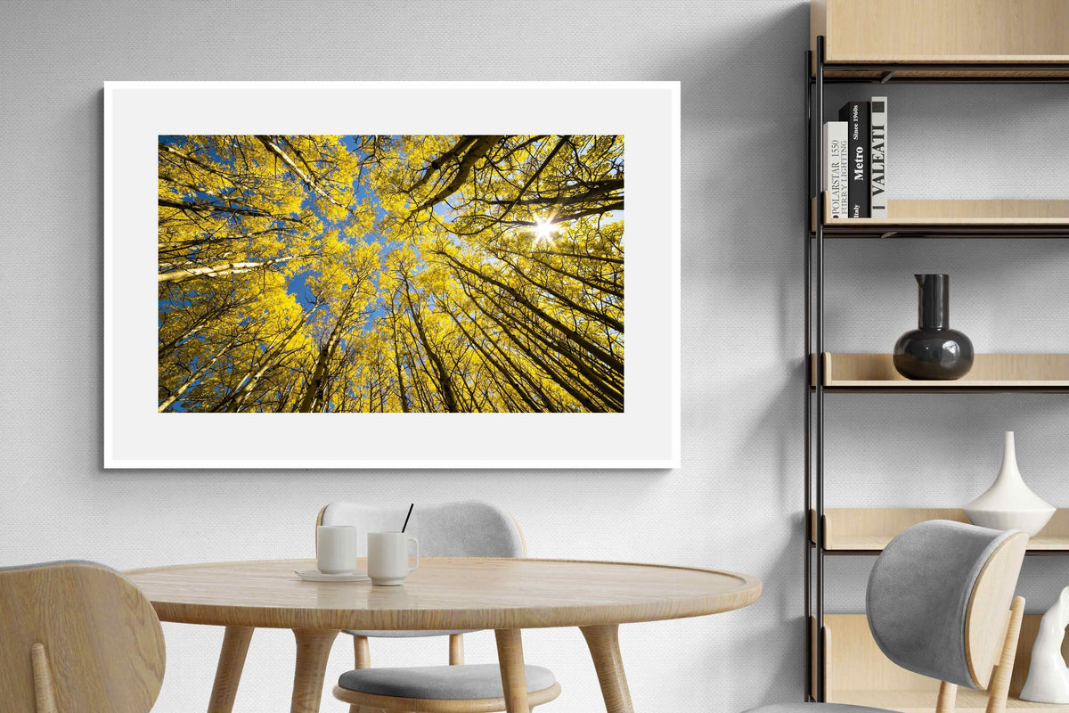 Pixalot ® Aspen Grove Sunburst