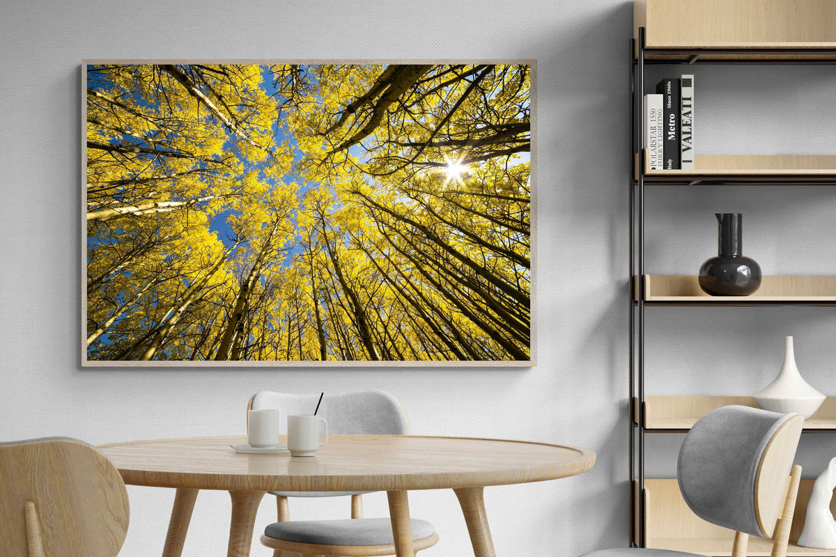 Pixalot ® Aspen Grove Sunburst