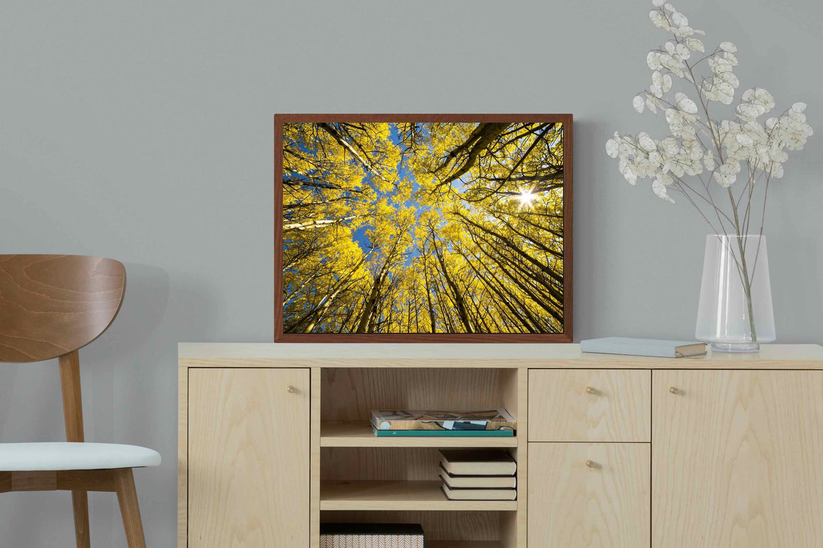 Pixalot ® Aspen Grove Sunburst
