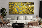Pixalot ® Aspen Grove Sunburst