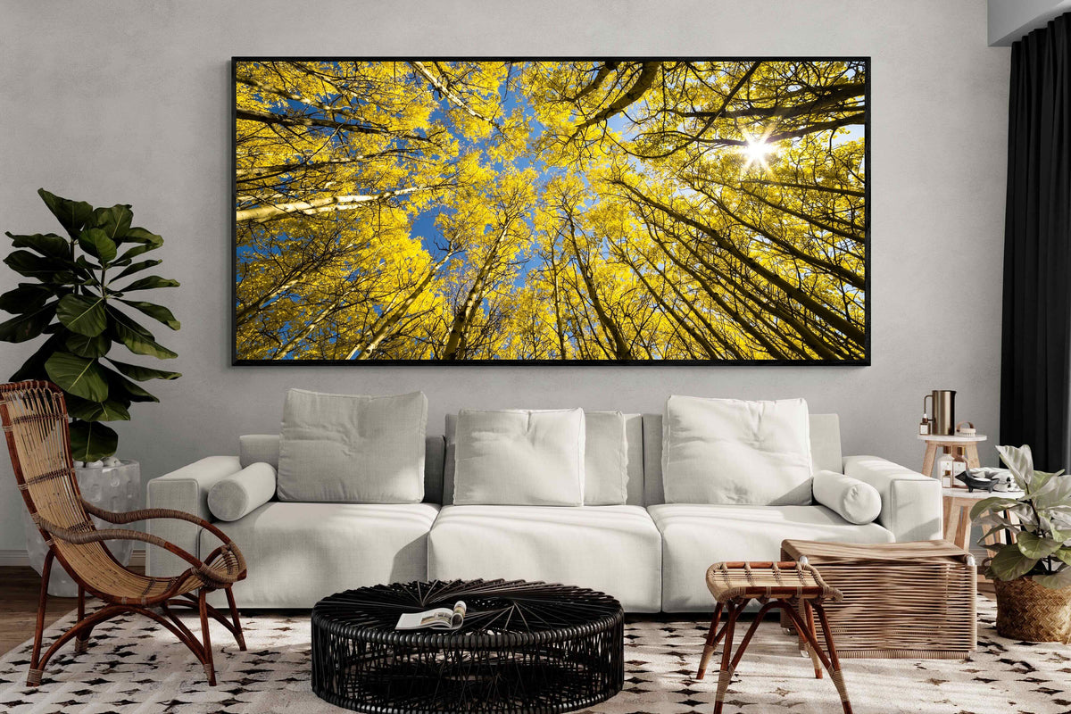 Pixalot ® Aspen Grove Sunburst
