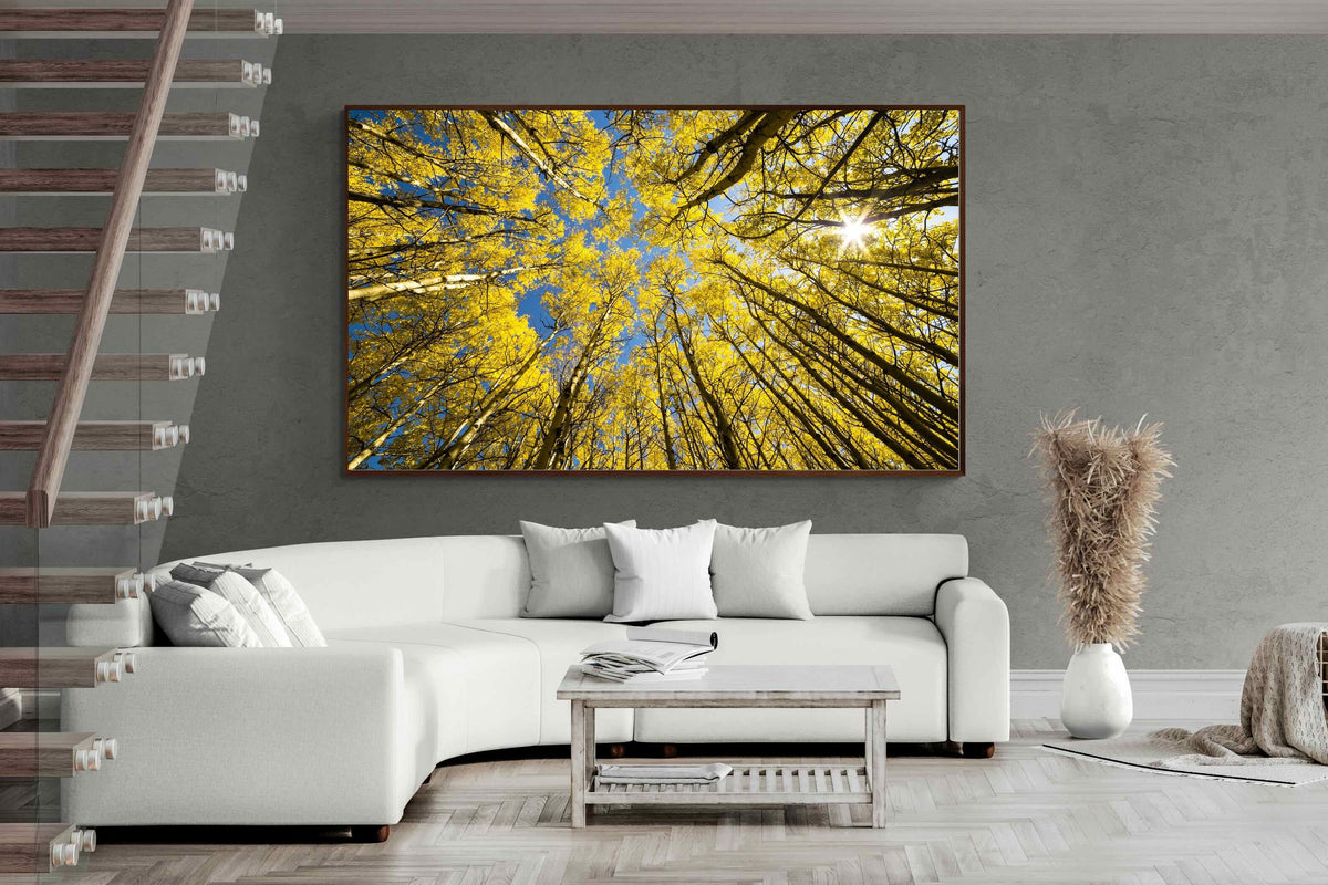 Pixalot ® Aspen Grove Sunburst