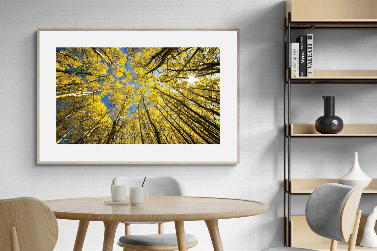 Pixalot ® Aspen Grove Sunburst