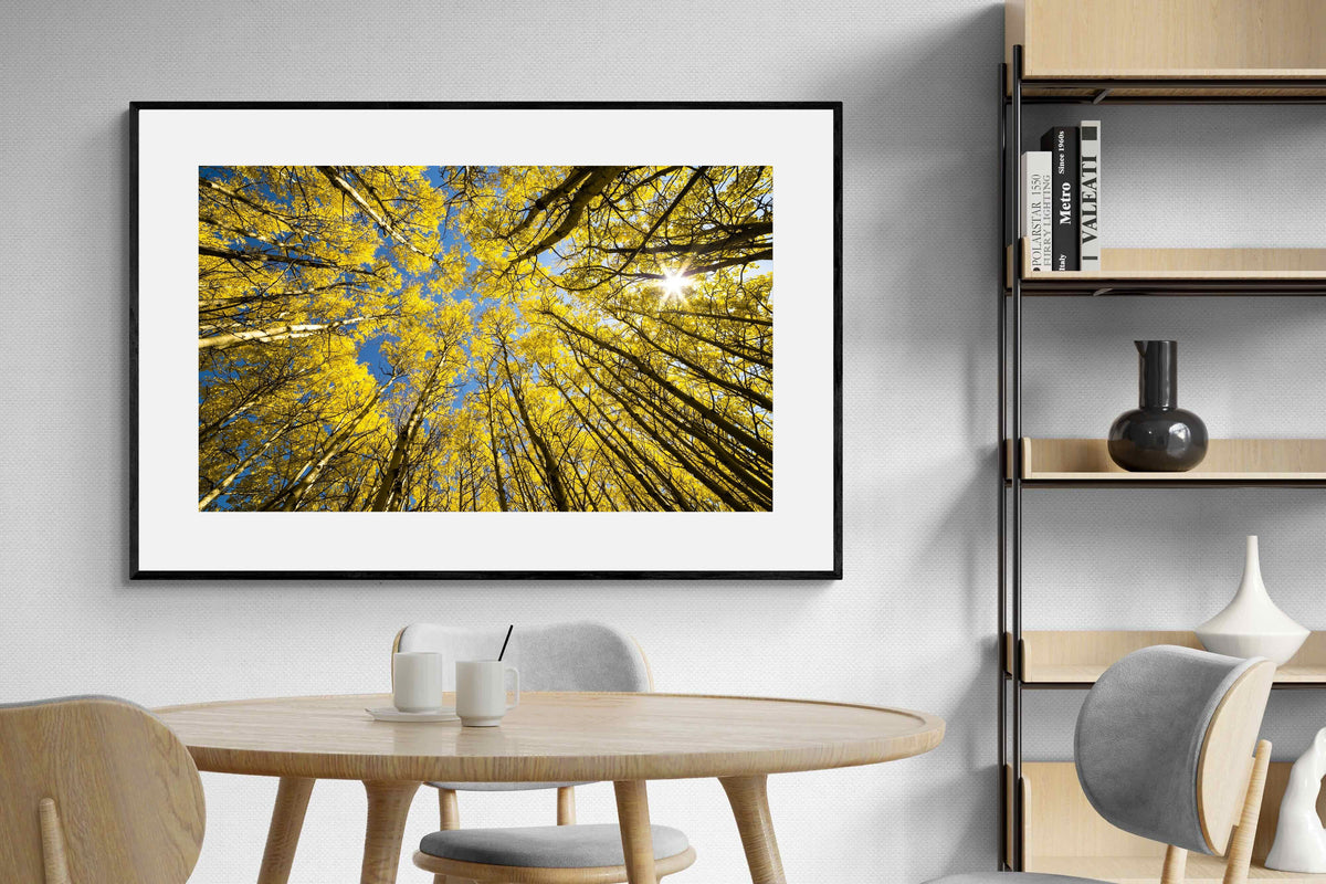 Pixalot ® Aspen Grove Sunburst