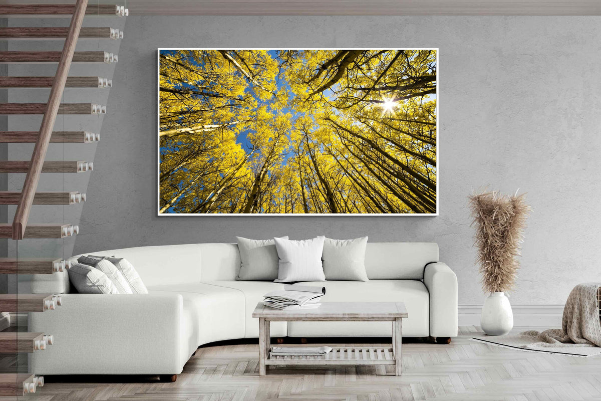 Pixalot ® Aspen Grove Sunburst