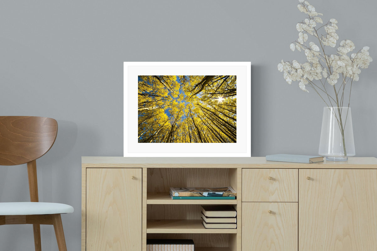 Pixalot ® Aspen Grove Sunburst