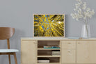 Pixalot ® Aspen Grove Sunburst