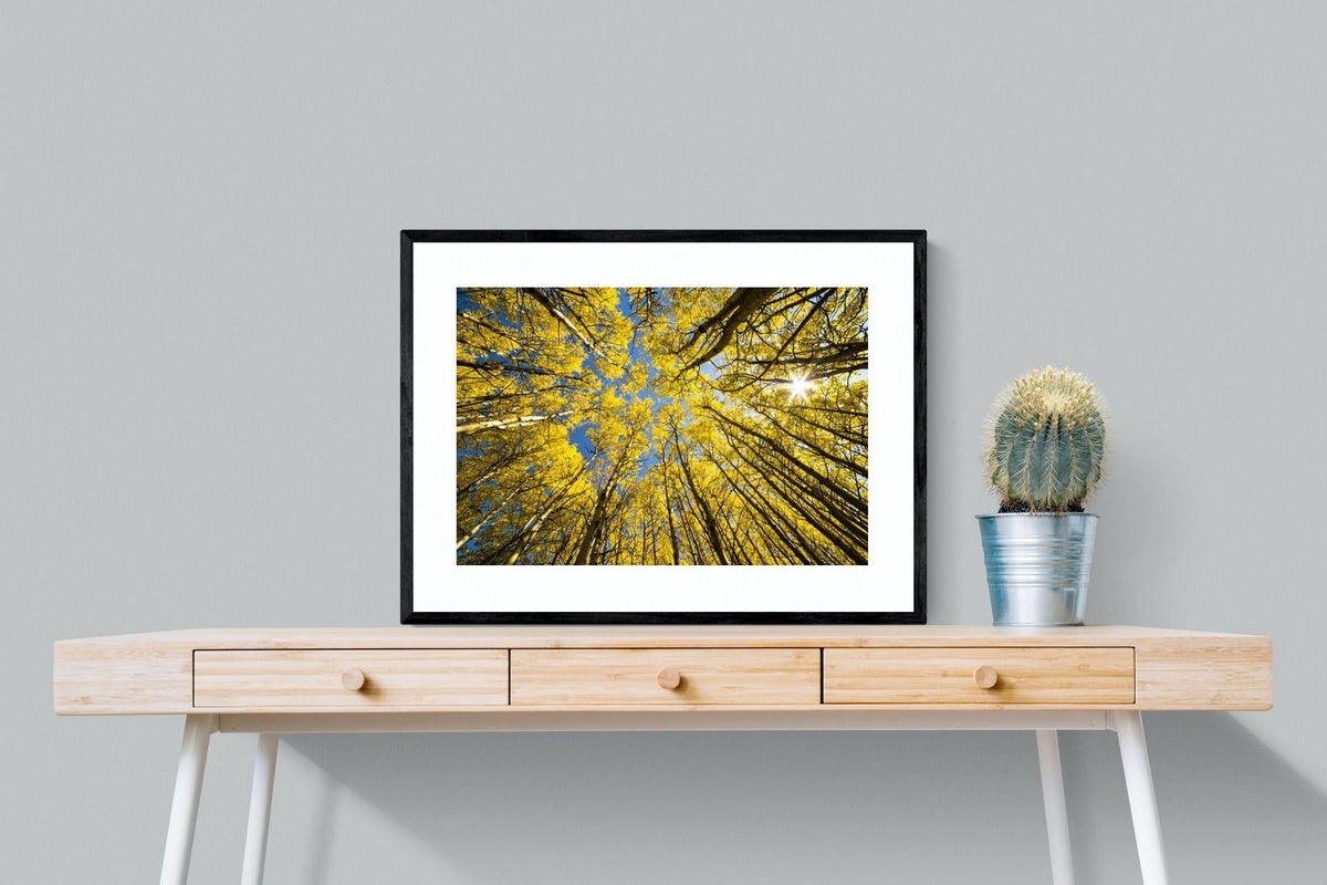 Pixalot ® Aspen Grove Sunburst