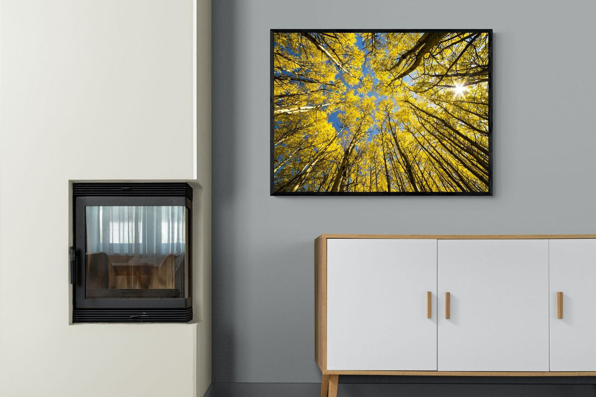 Pixalot ® Aspen Grove Sunburst