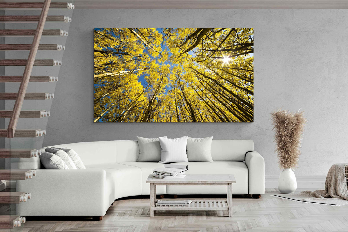 Pixalot ® Aspen Grove Sunburst