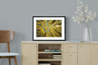 Pixalot ® Aspen Grove Sunburst