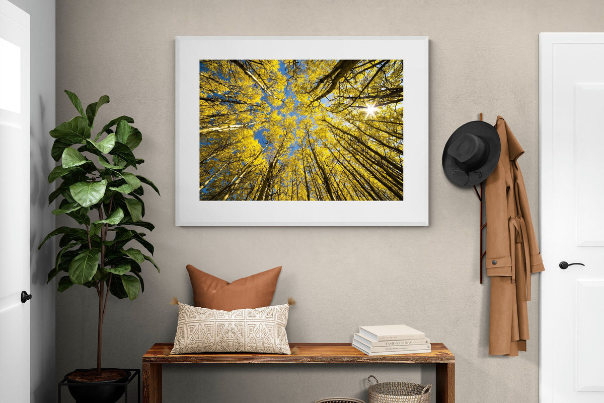 Pixalot ® Aspen Grove Sunburst