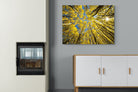 Pixalot ® Aspen Grove Sunburst