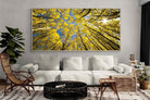 Pixalot ® Aspen Grove Sunburst