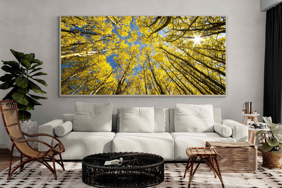 Pixalot ® Aspen Grove Sunburst