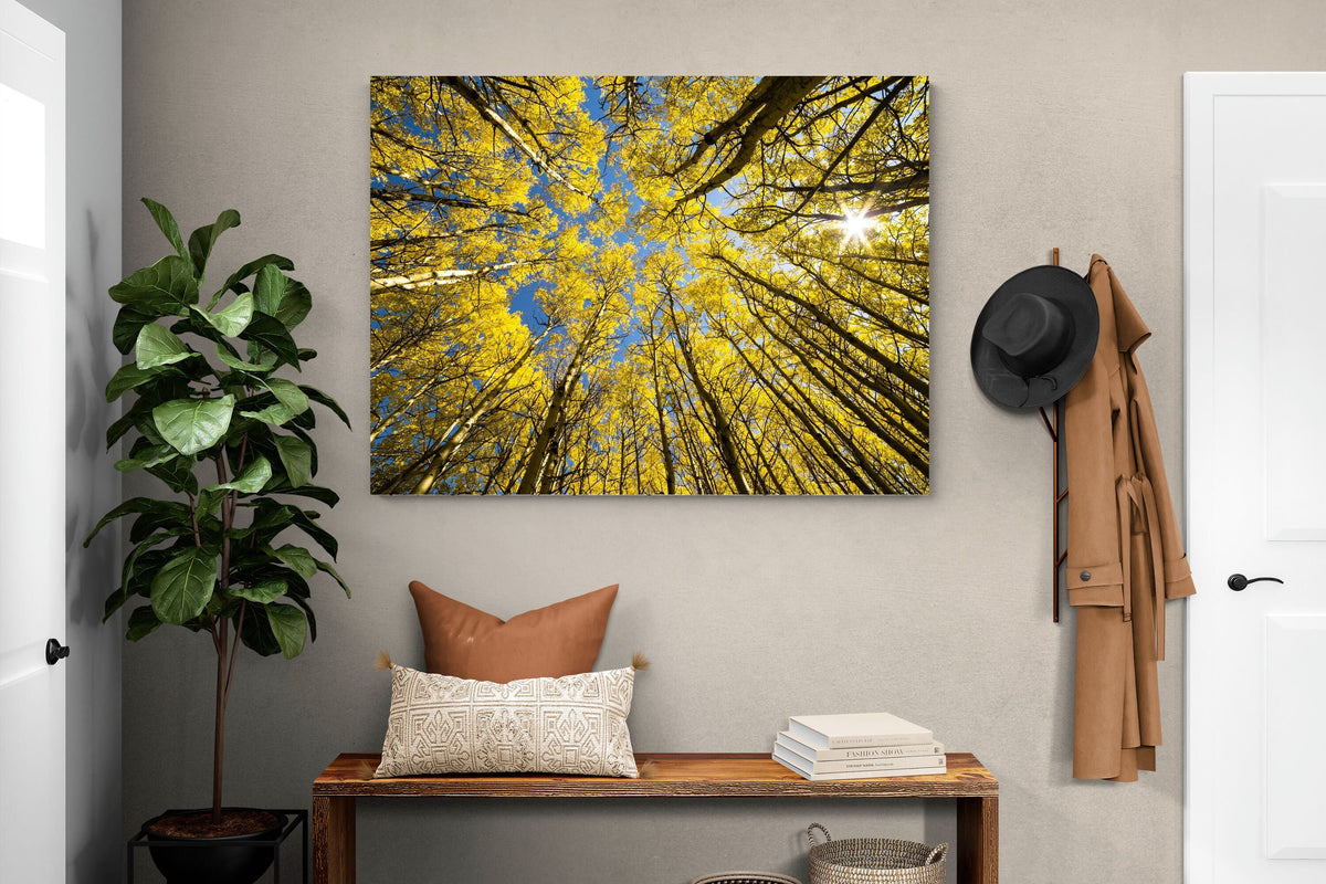 Pixalot ® Aspen Grove Sunburst