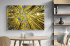 Pixalot ® Aspen Grove Sunburst