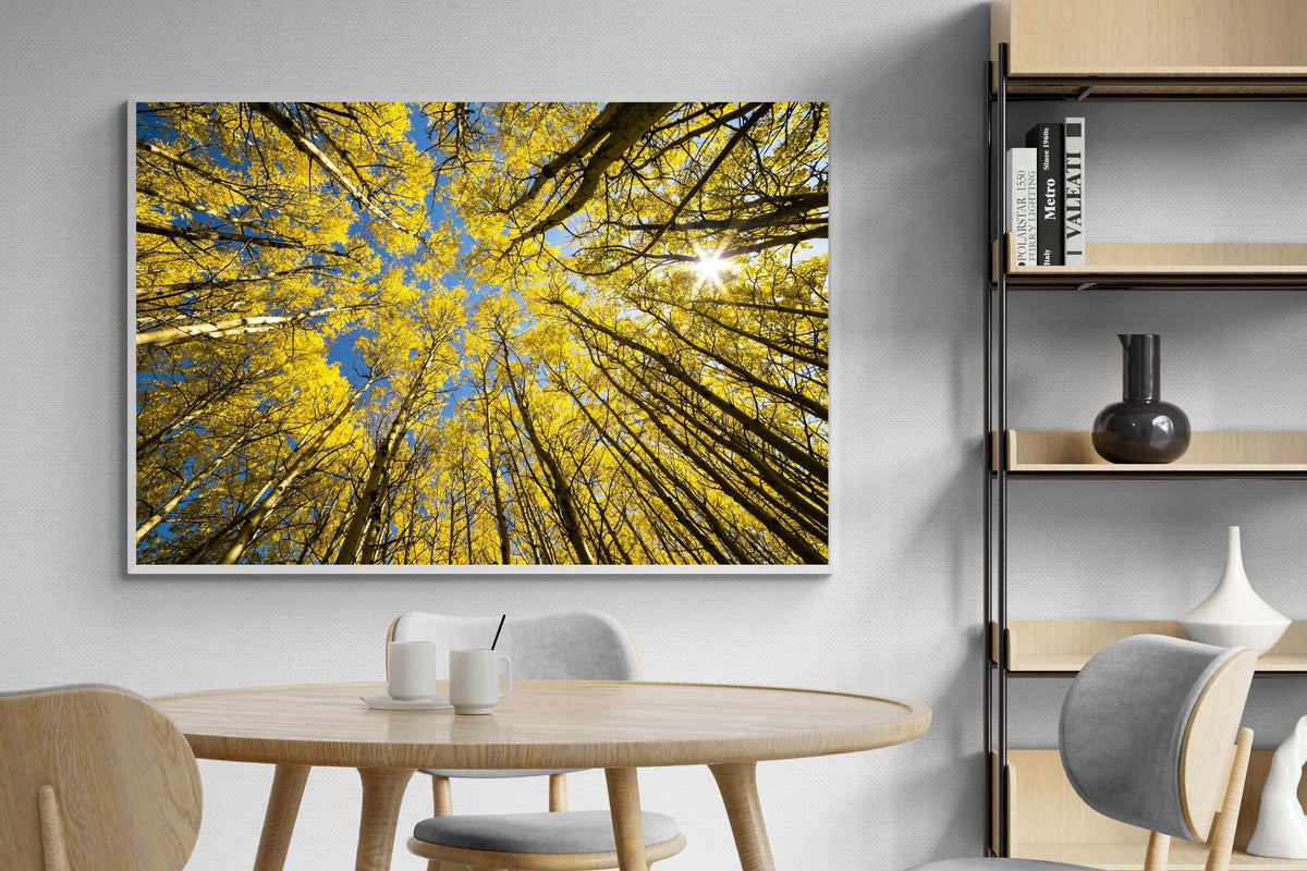 Pixalot ® Aspen Grove Sunburst