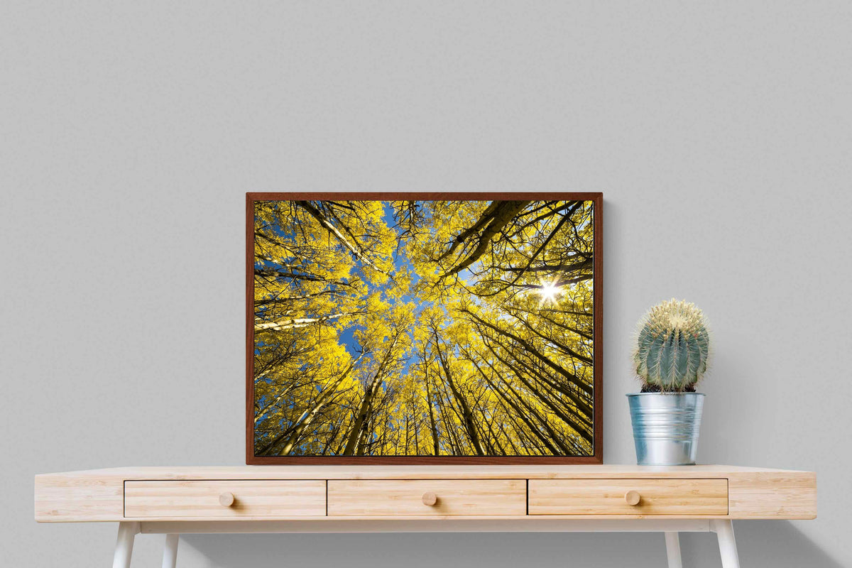 Pixalot ® Aspen Grove Sunburst