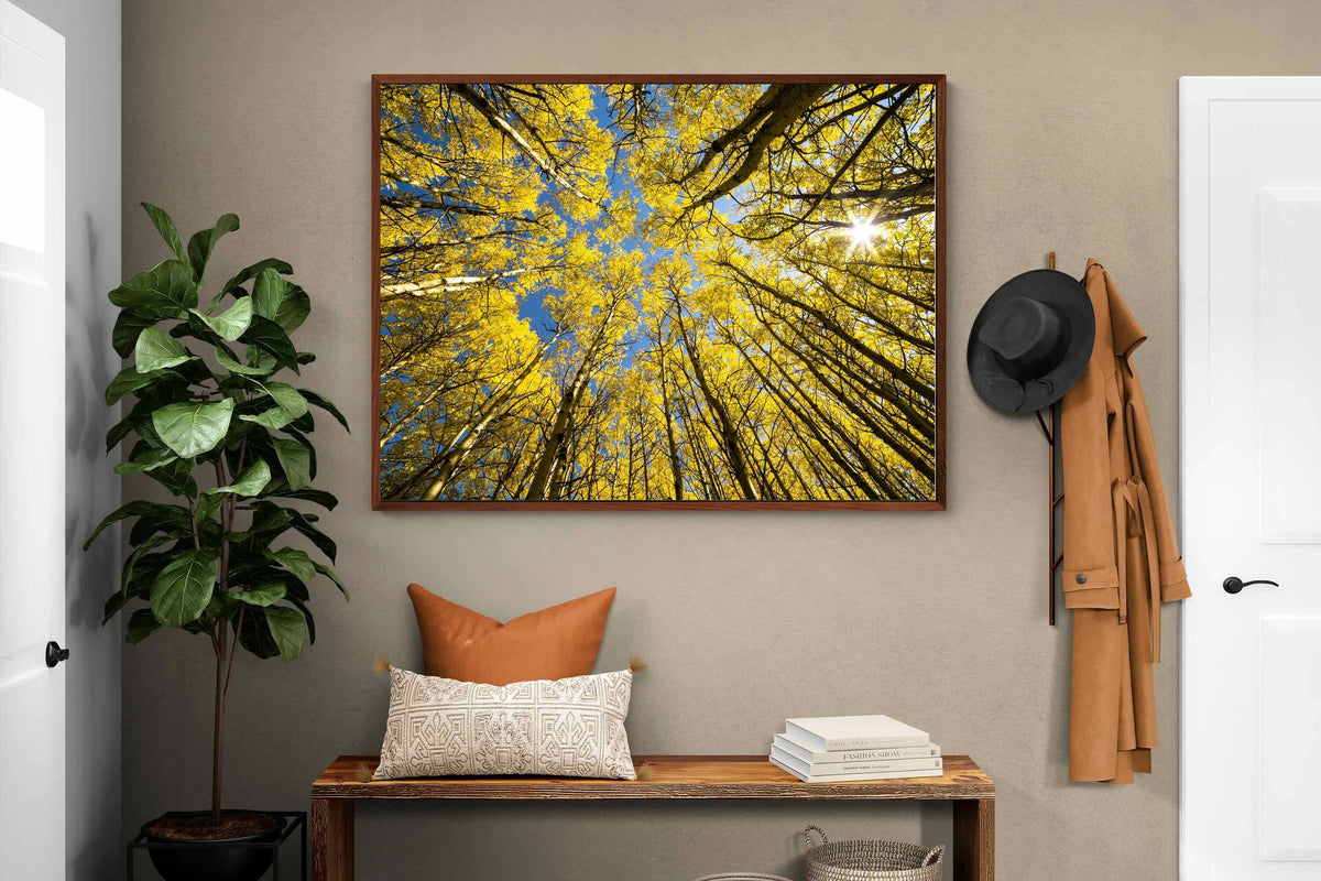 Pixalot ® Aspen Grove Sunburst