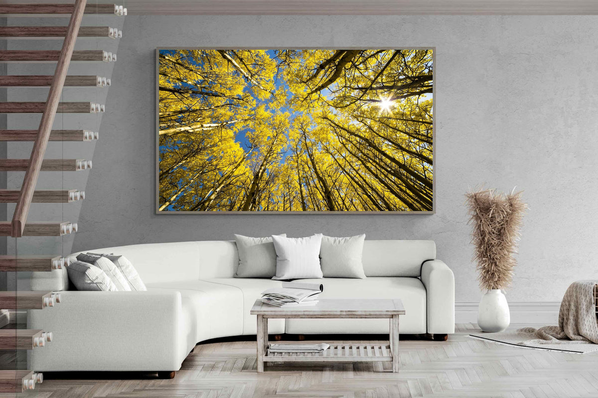 Pixalot ® Aspen Grove Sunburst
