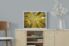 Pixalot ® Aspen Grove Sunburst