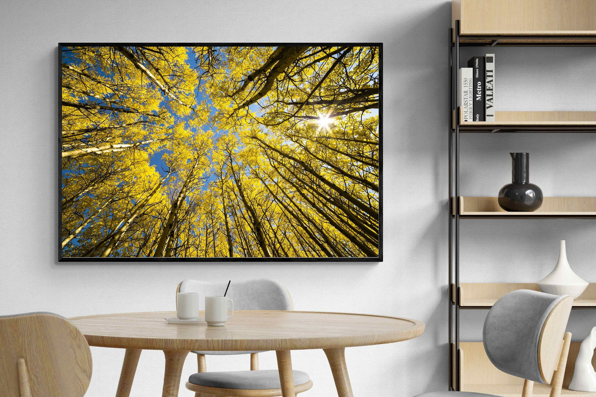 Pixalot ® Aspen Grove Sunburst