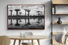 Pixalot ® Baobab Trees